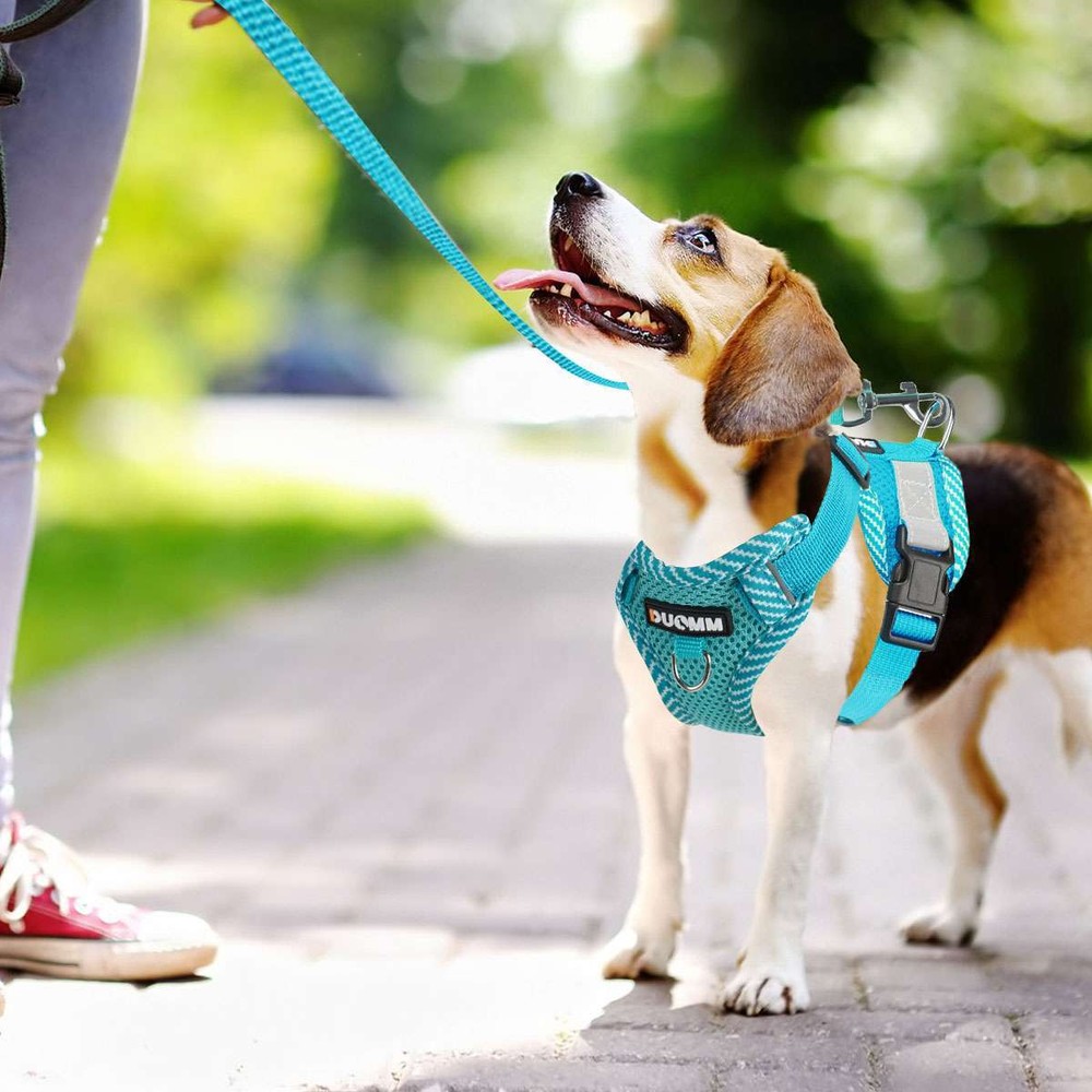 Dog Harness Adjustable Puppy Cat Harness Vest Pet Outdoor Walking Collar Leash