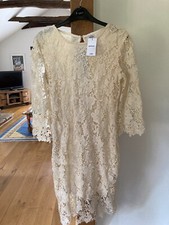 Stretch Lace Dress
