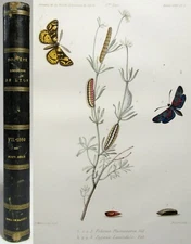 1861 ENTOMOLOGY Natural History SOCIETE LINNEENNE Antique HAND COLORED PLATES