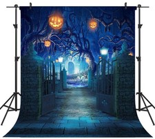 8x8 FT Halloween Theme Pictorial Cloth Seamless Photo Backdrop Prop TP263B