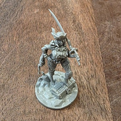 Kingdom Death Monster Generic Swashbuckler Assembled No Game Content