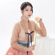 Korean Floral Blouse Hanbok. Azure Moon Sheer Organza Hanbok Jeogori