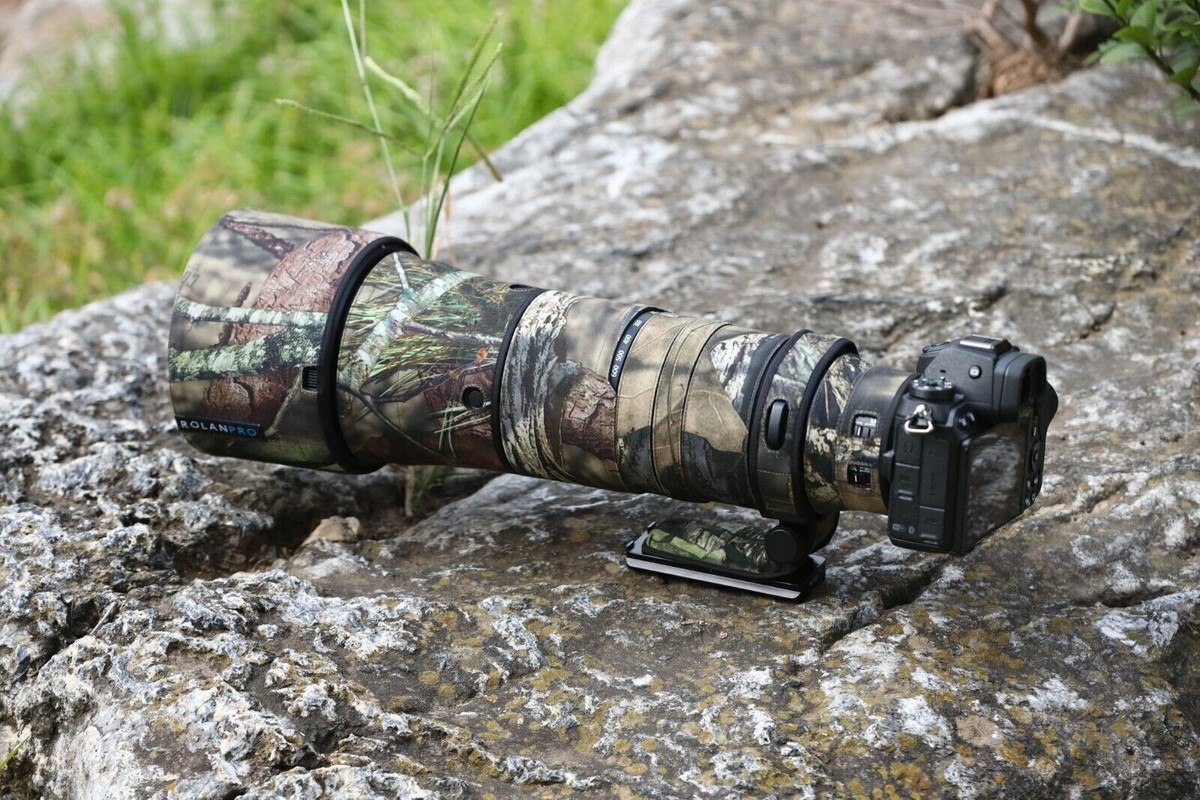 Canon RF 200-800mm F6.3-9 IS USM vs Nikon Nikkor Z 180-600mm F5.6-6.3 VR Detailed Lens Comparison