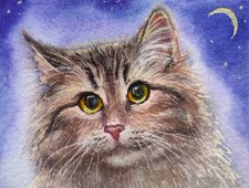 ACEO cat watercolor pencil by the author original 3,5