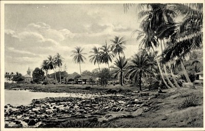 Ak Kamerun, Palmen an der Küste bei Bota - 4678626