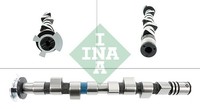 Schaeffler INA Nockenwelle 428 0166 10 FüR Fiorino Doblo Alfa Fiat EVO Punto Van