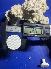 20  CURED REEF PLUGS FOR LIVE CORAL FRAG PROPAGATION  great for sps lps zoo zoa