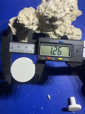 20  CURED REEF PLUGS FOR LIVE CORAL FRAG PROPAGATION  great for sps lps zoo zoa