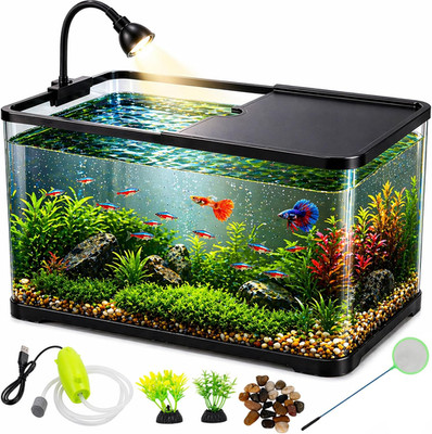 5 Gallon Fish Tank Starter Kit for Betta Shrimp Guppy & Neon Tetra | Clear as Pl