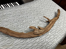 Natural Driftwood 29 Inches Long