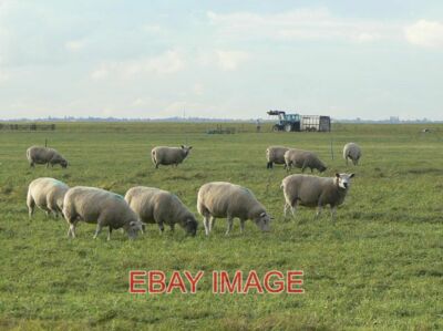PHOTO  NEWTON AIRFIELD THE FORMER FLYING AREA HAS BEEN GIVEN OVER TO AGRICULTURE