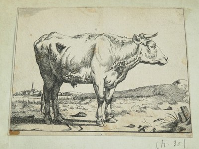 d. Paulus POTTER (1625-1654) GRAVUR XVII ABSCHIEDSKUH TIERE HOLLAND 1660 b