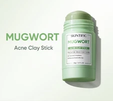 SKINTIFIC Mugwort Acne Clay Stick 40g