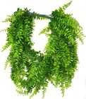 Foto 5 di 7