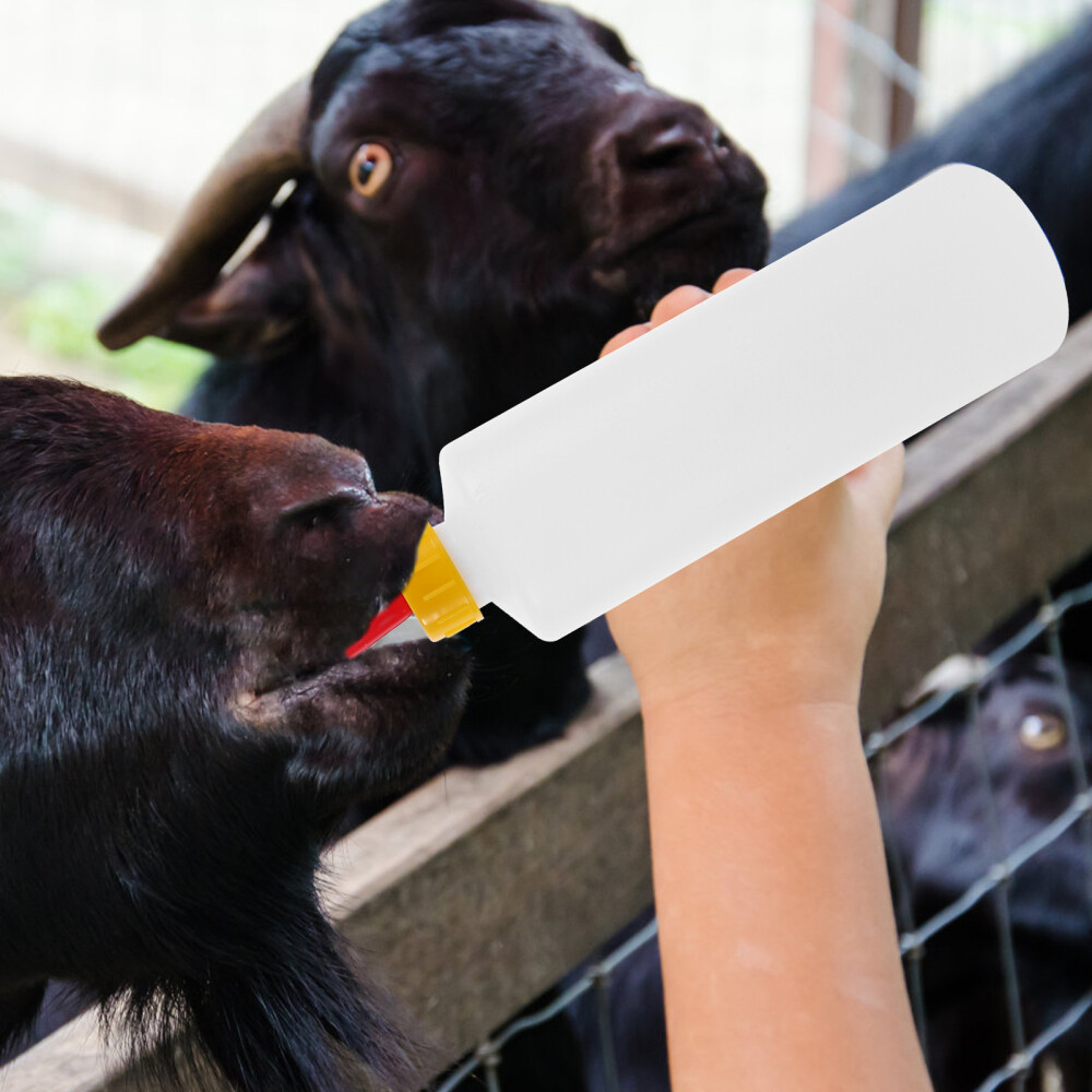 Livestock Nursing Bottle Set for Calves, Lambs, Sheep, Goats, and