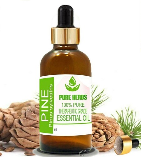 Pure Herbs Pine Pinus Sylvestris 100% Pure & Natural Essential Oil - Picture 45 of 49