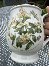 Portmeirion Botanic Garden Bristol Coffee Mug 4.5”Box Leaved Milkwo
