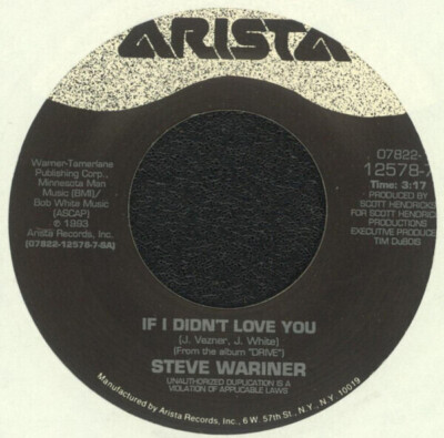 Steve Wariner If I Didnt Love You / The Same Mistake Again Vinyl Single 7inch