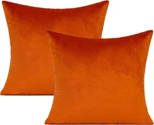 2PCS Burnt Orange Fall Throw Pillow Covers 18X18 Thanksgiving Autumn Decor
