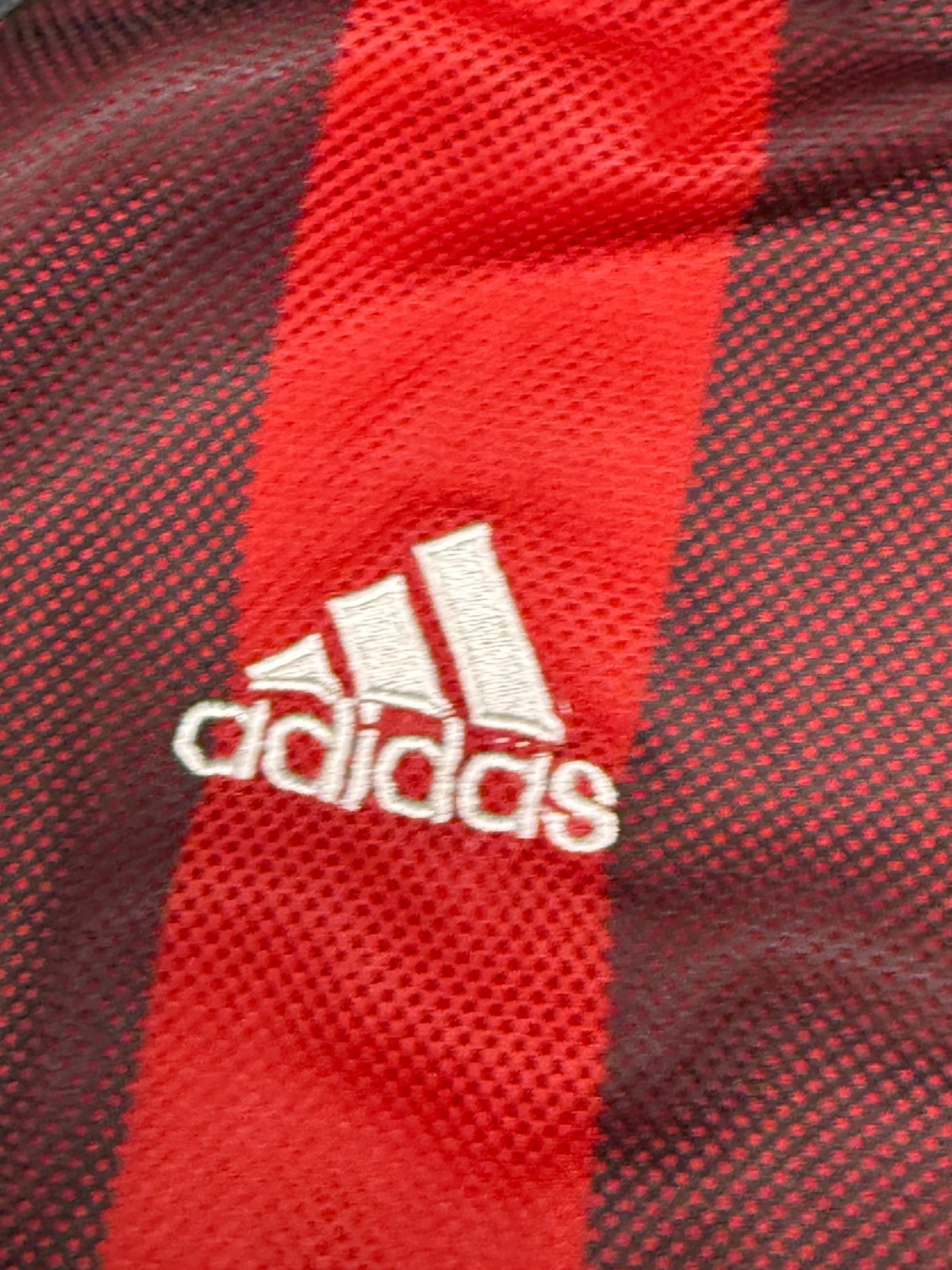 Foto 11 di 11