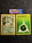 Pokémon Base Set Shadowless 17/102 Beedrill  1st Edition Card Lot