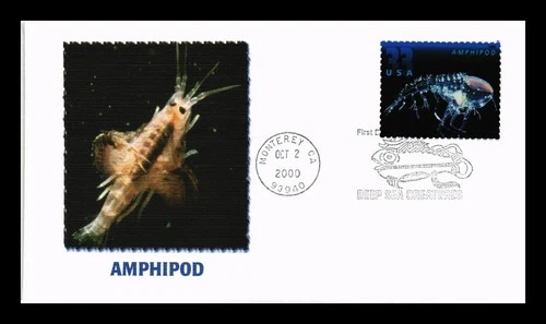 US COVER FLEETWOOD FIRST DAY OF ISSUE PICTORIAL CANCEL AMPHIPOD