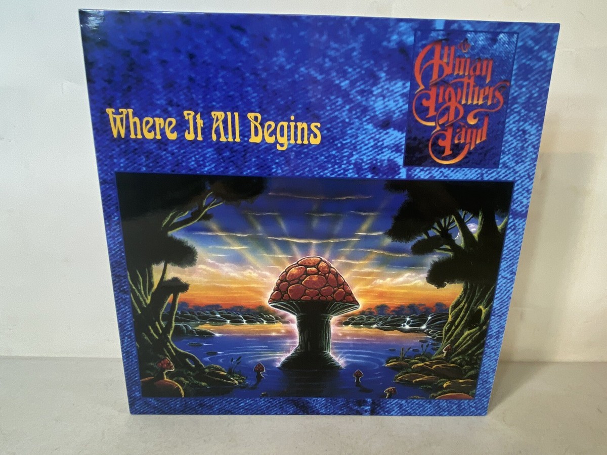 rare LP The Allman Brothers Band Where It All Begins 37E45