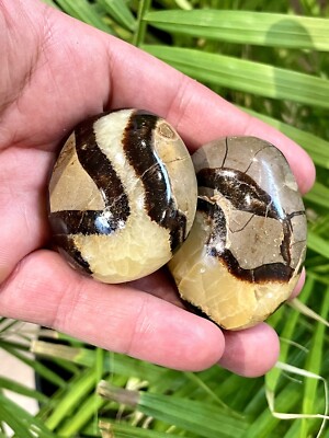Septarian Crystal Dragon Stone Healing Crystals Yoga Reiki Meditation 2'' ZENDA