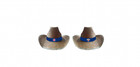 Chicago Cubs Cowboy Hat Giveaway 8/16/25 Sga Presale