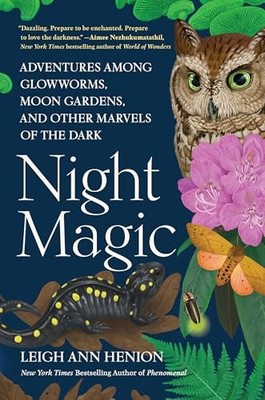 Night Magic by Leigh Ann Henion 9781643753362 NEW Free UK Delivery