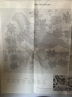 Bild 11 von 12