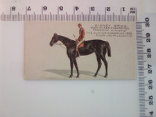 kinney bros famous horses tremont cigerette card