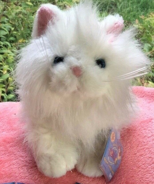 Webkinz Persian Cat for sale online | eBay