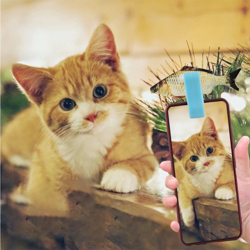 2 PCS Dog Selfie Accessory Pet Photography Supplies Photo Clip Phone - 第 9/11 張圖片