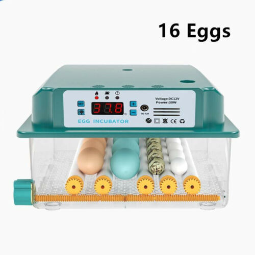 Eggs Incubator Chicken Quail Hatcher Incubators Automatic/Manual Hatching Eggs - Picture 43 of 78