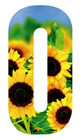 Wheelie Bin SUNFLOWER Numbers 0-9 SELF ADHESIVE Wheely Bin Dustbin SET OF 2