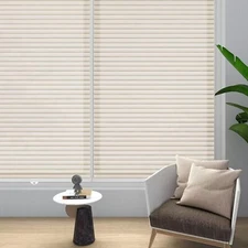 Changshade Cordless & Light Filtering Cellular Shade, Tools-Free Pleated Hone...