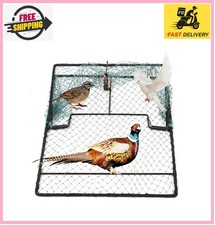 Humane Pigeon Trap,Bird Trap for Quail,Turkey,Net Traps 15.7x19.7 inch 