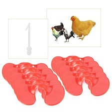 10x Creative Chicken Eyes Glasses Avoid Hen Peck Each Other Chicken Farm 55mm