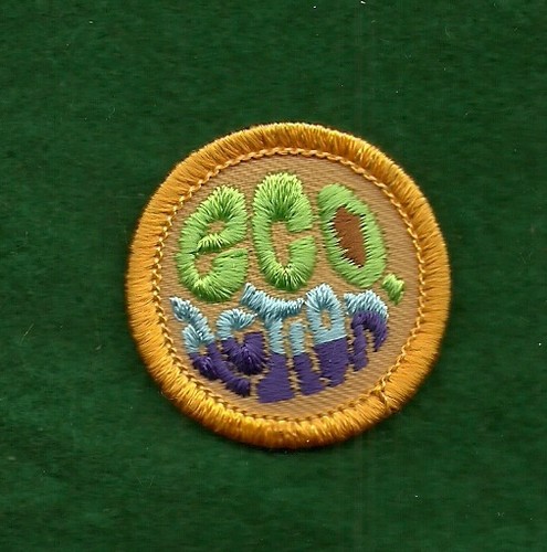 VINTAGE GIRL SCOUT BADGE - WORLDS TO EXPLORE - EGO ACTION - NEW - Picture 1 of 2