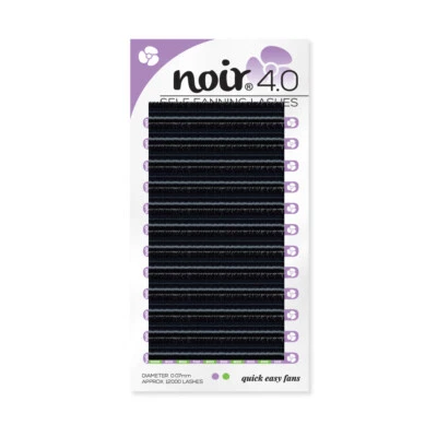 NOIR VOLUME LASHES Easy Fanning Lashes Noir 0.07 Self Fanning Eyelash Extensions Russian Volume C D