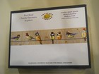 NEW Artifact Wooden Jigsaw Puzzle - Paul Bond Family Dynamics birds 65 pc