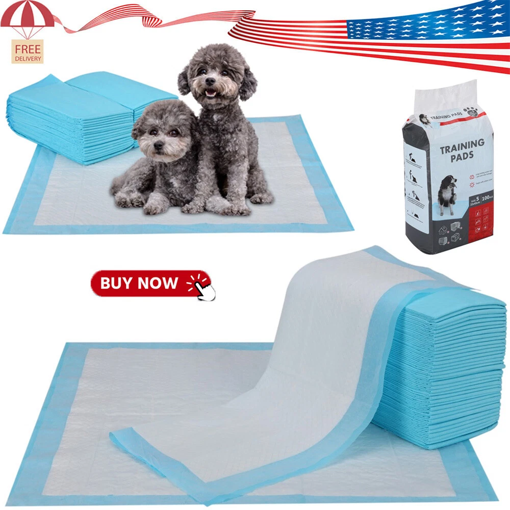 Do Dog Diapers Work For Training