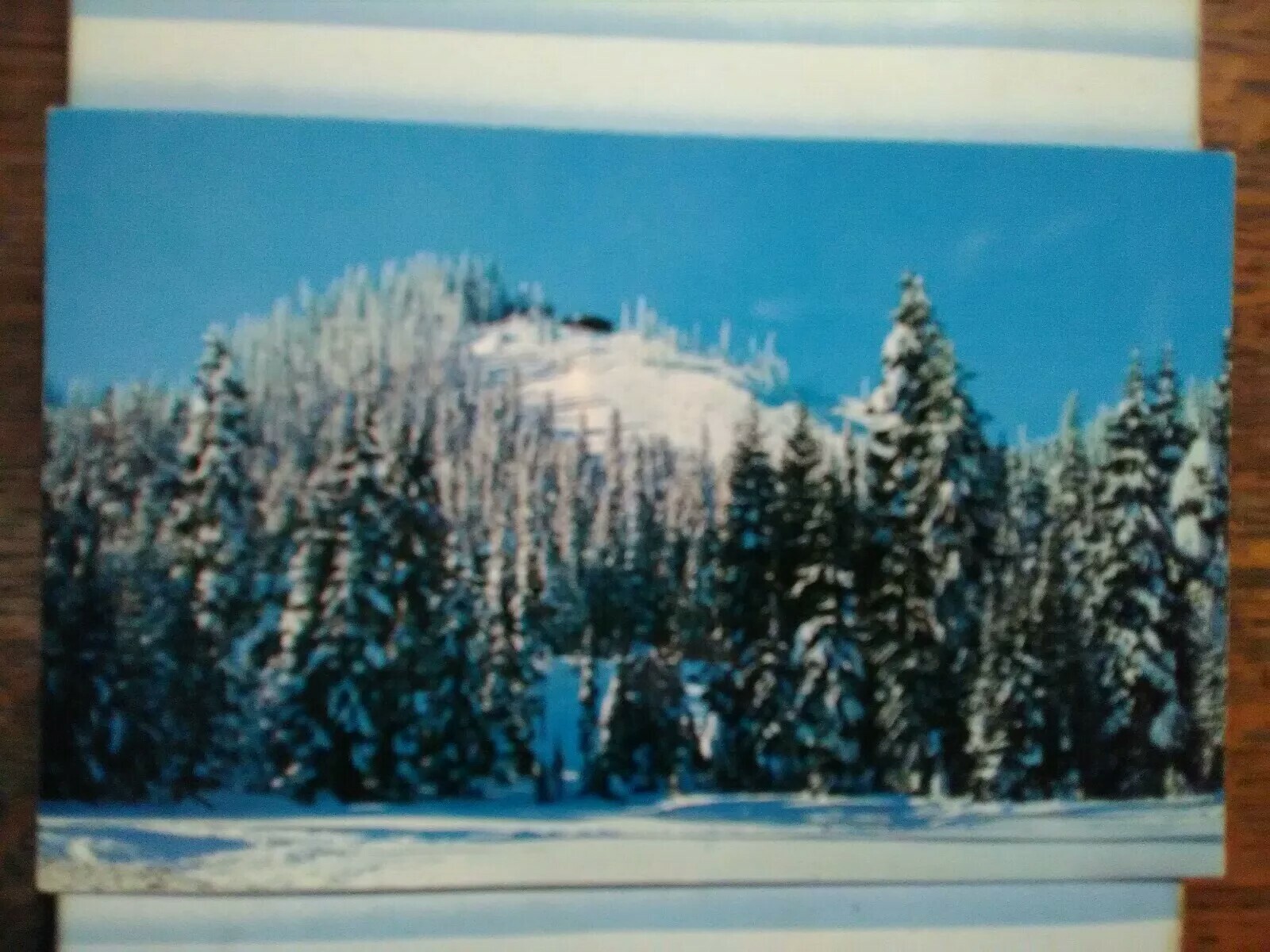 Picture 6 of 12