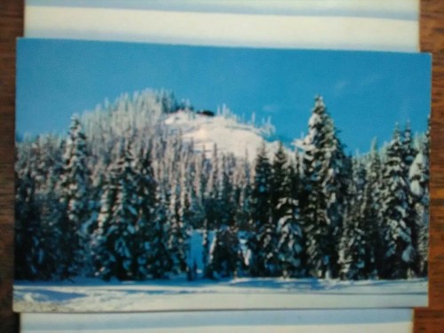 VINTAGE POST CARD SNOQUALMIE SUMMIT SKI AREA SNOQUALMIE WASHINGTON - Picture 6 of 12