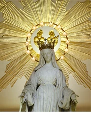Our Lady of the Miraculous Medal 8 by 10 Image