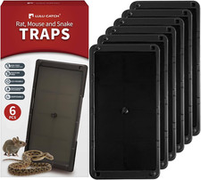 Super Glue Traps 6 Pack for Mice  Snakes, Larger, Heavier Sticky Traps with Non