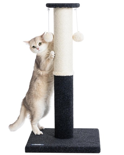 34-Inch Tall Cat Scratching Post for Indoor Cats, Large Carpet Scratch Post, ...