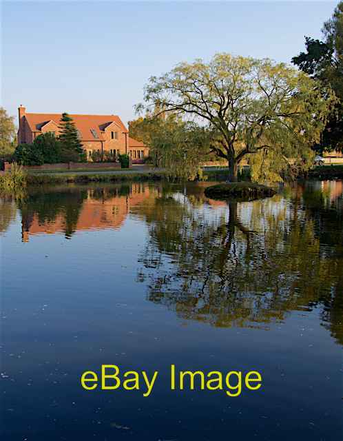 Duck Pond at West River