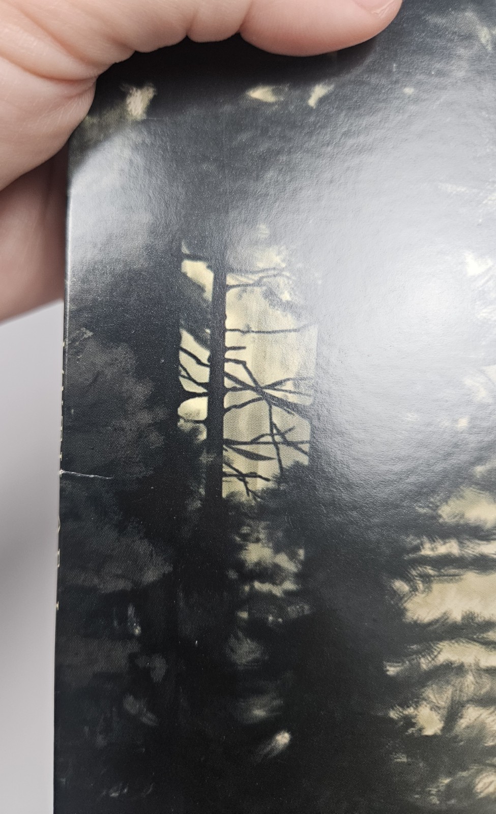 Picture 5 of 13